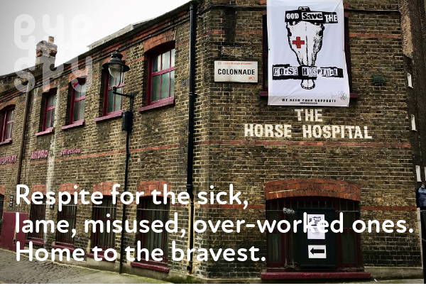 Neil Baker - The Horse Hospital