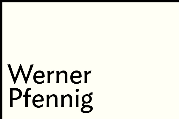 Carmen Lavin writes about Werner Pfennig